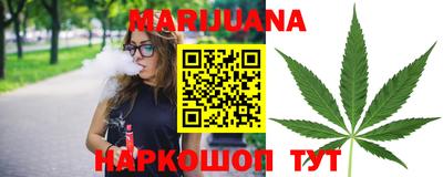 молекула духа Шебекино