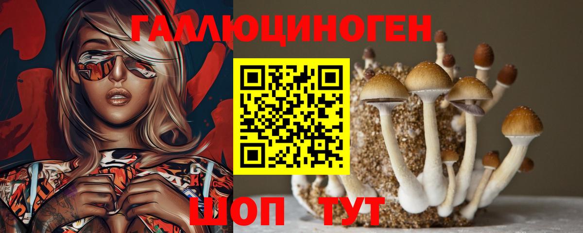 продажа наркотиков  Псилоцибиновые грибы Psilocybine cubensis  Вход с VPN  Богородицк 